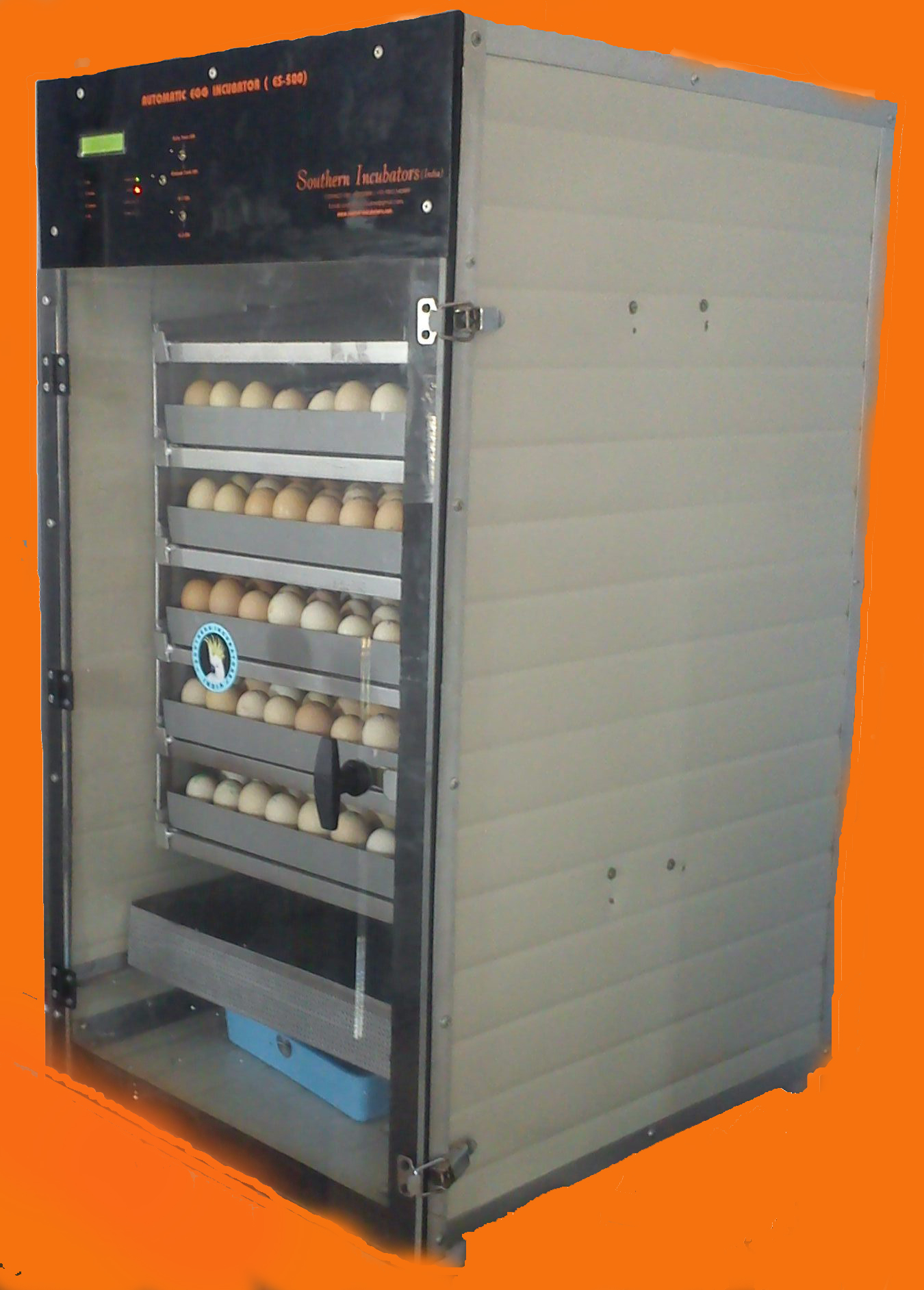 Incubation temperature for bantam chicken eggs Guide | incubator 